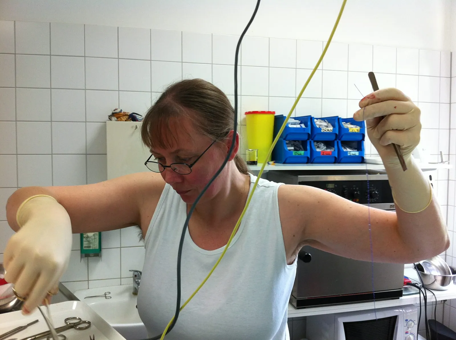 Tierärztin Dorothee Kammbach im Behandlungsraum